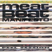 Soul Driver by Meat Beat Manifesto