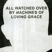 All Watched Over By Machines Of Loving Grace