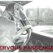 Nervous Passenger