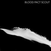 Blood Pact Scout