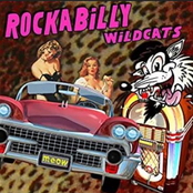 Jim McDonald: Rockabilly Wildcats