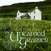 The Untamed Grasses