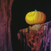 i'm feeling it now, mr. krabs