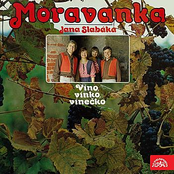 Víno, vínko, vínečko