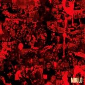Mould
