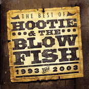 Hootie & The Blowfish: The Best of Hootie & The Blowfish (1993-2003)