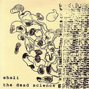 Sholi / The Dead Science - Split 7"