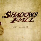 Stupid Crazy by Shadows Fall