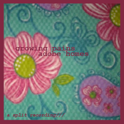 Growing Pains Split Tape