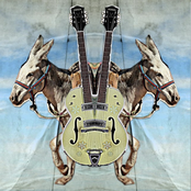 Stereo Donkey: Stereo Donkey