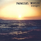 Insight by Parallel Worlds