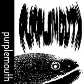 Purplemouth Tape