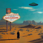 Pinto Sunshine: Pinto Sunshine, Vol. 1