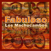 Non Monsieur by Los Machucambos