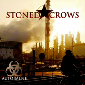 Stoned Crows