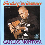 the art of the flamenco guitar