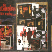 You Hold The Key To My Love In Your Hands by The Stranglers