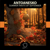 Summer Traits Of September