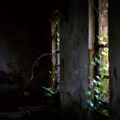 Obscured By Beams Of Sorrow