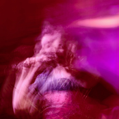 WHO DAT IN MY WINDOW ?