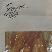 Slimy Clupea Harengus