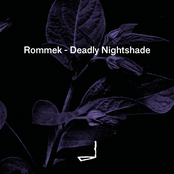 Deadly Nightshade