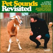 MOJO Presents Pet Sounds Revisited