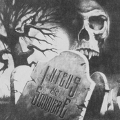 Whole Lotta Schemin'