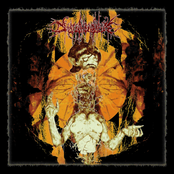 ...The Fruit of Her Ascent