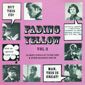 Fading Yellow, Vol. 3: 22 Shiny Jewels of US Pop-Sike & Other Delights 1965-69
