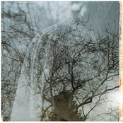 The Vale of Awful Sound