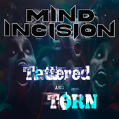 Mind Incision: Tattered and Torn