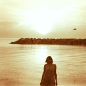 Invaded By Fireflies