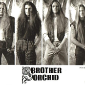 brother orchid