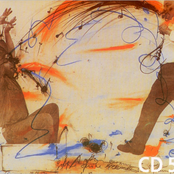 75 Jahre Donaueschinger Musiktage 1921-1996 (Disc 5)