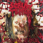 REIGN OF TERROR