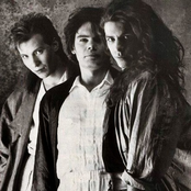 Alphaville photo provided by Last.fm