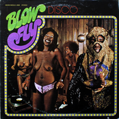 Kiss It All Around by Blowfly