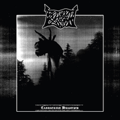 Carpathian Shadows
