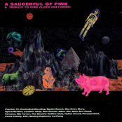 Nik Turner: A Saucerful Of Pink - A Tribute To Pink Floyd