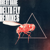 Delta Fly Remixes