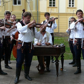 Horňácká Cimbálová Muzika Petra Galečky