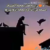 13.1: بيد واحدة أستطيع أن استعرض لكم قدراتي ... With one hand I can show you my abilities