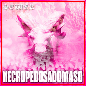 Necropedosadomaso
