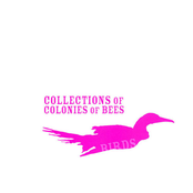 Collections of Colonies of Bees: Birds