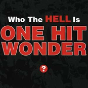Who the Hell Is One Hit Wonder