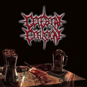 Smashed & Splattered Organs