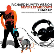 Never Let Me Down (Remixes)