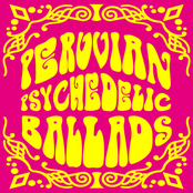 Peruvian Psychedelic Ballads (Instrumental), Vol. 1