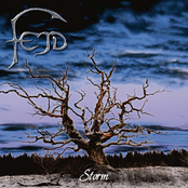 Fejd - Storm